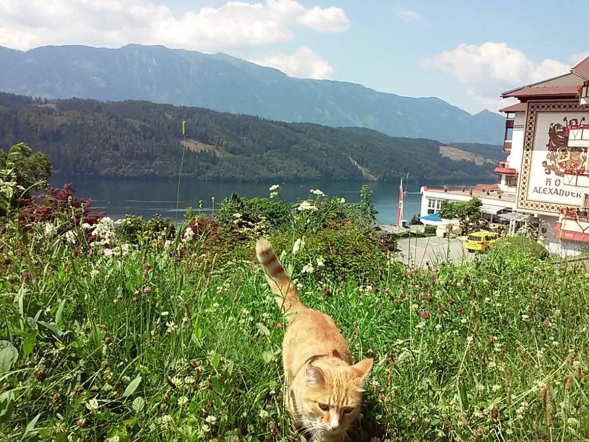 Haus Kraller-Urlaub Mit Seeblick Apartment Millstatt Luaran gambar