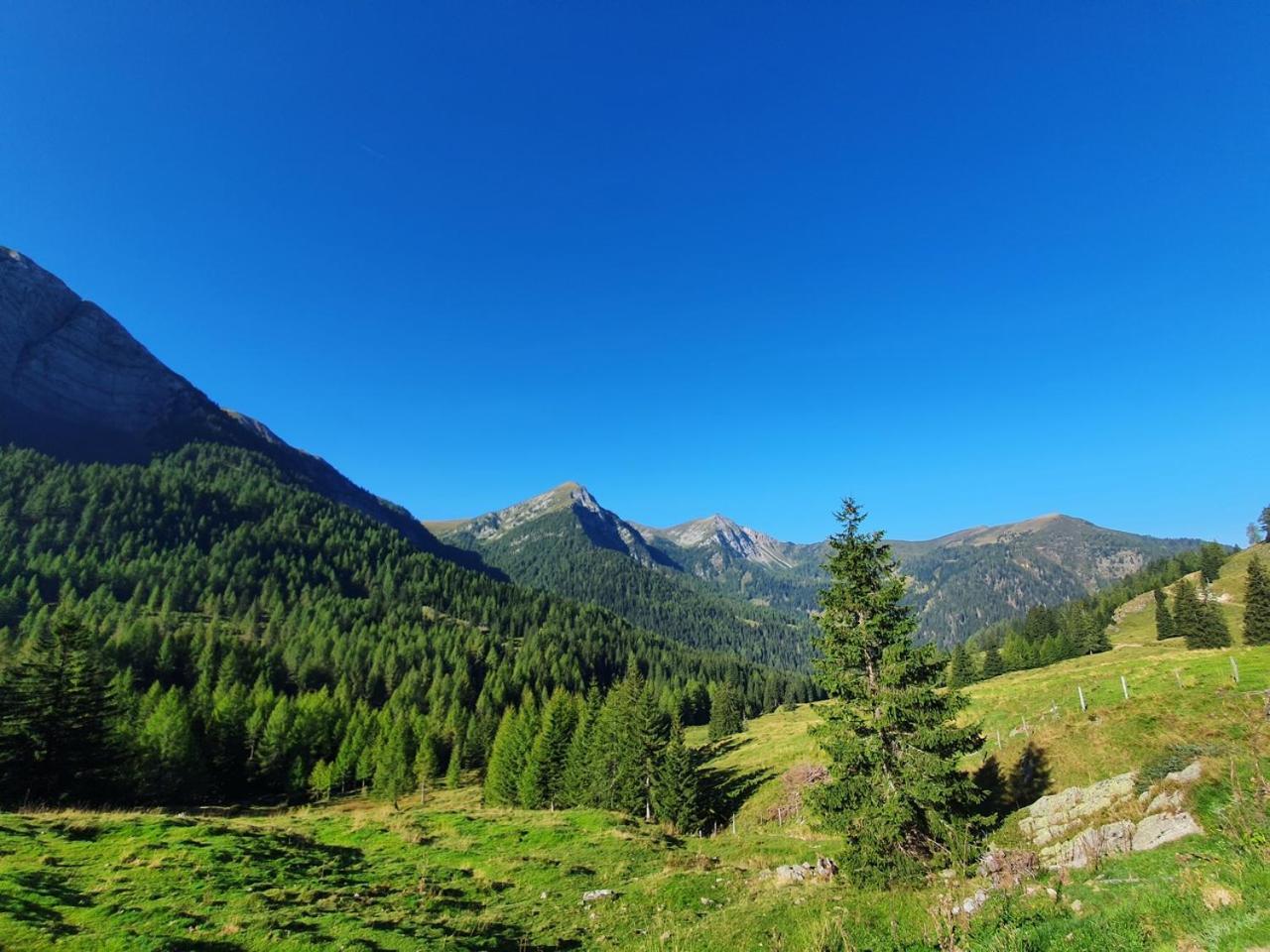 Haus Kraller-Urlaub Mit Seeblick Millstatt Luaran gambar